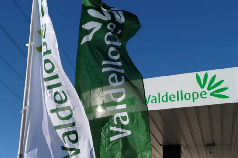 Estación de servicio de Valdellope con banderas