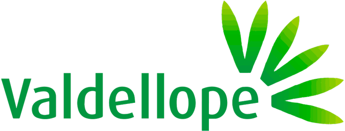 Valdellope Logotipo de Valdellope